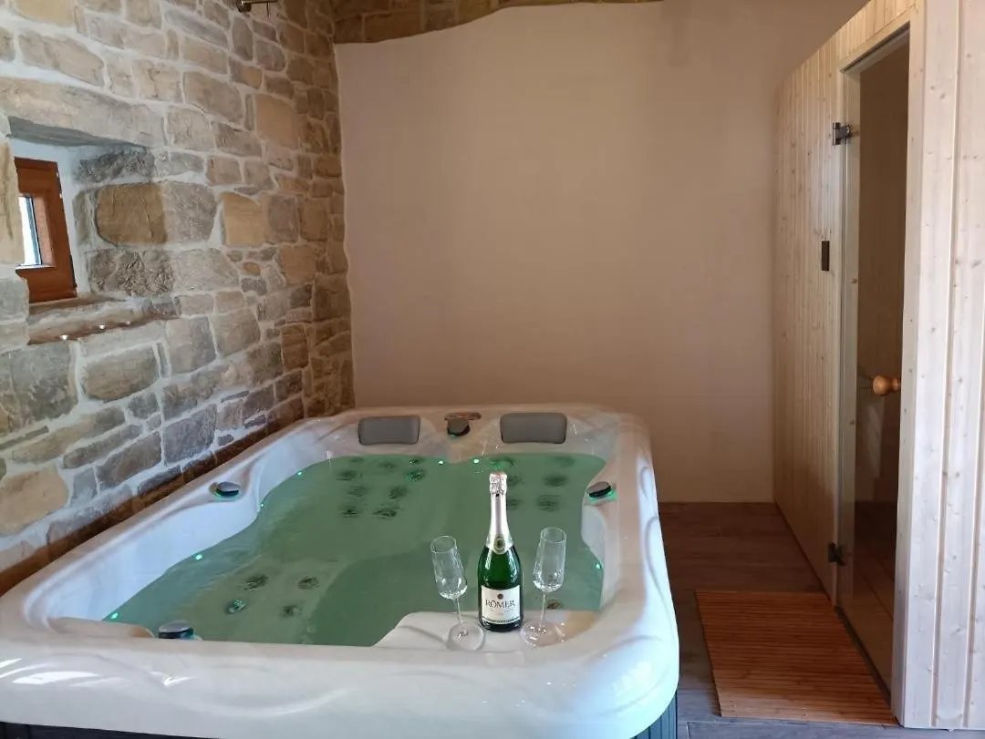 Villa Poji Buzet